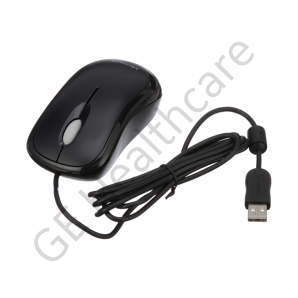 RCIM2 Mouse RCIM2 Mouse